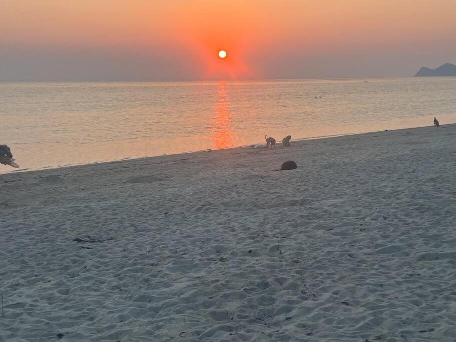 Sunset Serenity Cove Ko Pha Ngan Ngoại thất bức ảnh